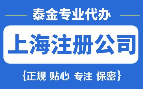 上海一人有限公司怎么注册